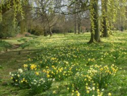 Belton House, grounds, Lincolnshire Wallpaper