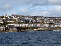 Falmouth Wallpaper