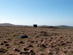 Standon Hill Wallpaper