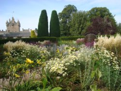 Flower Garden Wallpaper