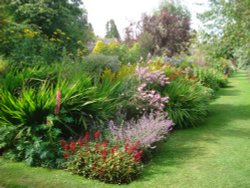 Flower Garden Wallpaper