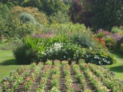 Walled Garden Wallpaper