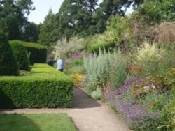 Walled Garden Wallpaper