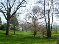 Dartington Hall Gardens, Totnes, Devon.
