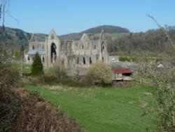 Tintern Abbey-- The Tablemat and Coaster Shot