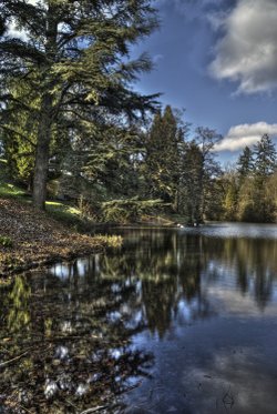 Colesborne Park near Cheltenham, Gloucestershire