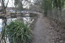 Towpath views Wallpaper