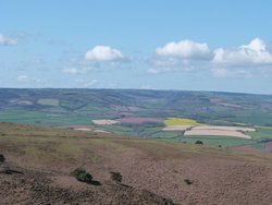 Quantock Hills Wallpaper