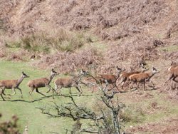 Quantock Hills Wallpaper