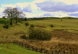 Hollingworth Lake Wallpaper