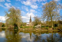 Clumber Park, Nottinghamshire Wallpaper