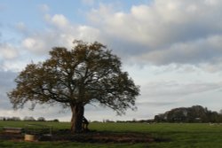 Bookham and the Field of Change Wallpaper