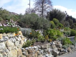 Ventnor Botanic Garden Wallpaper