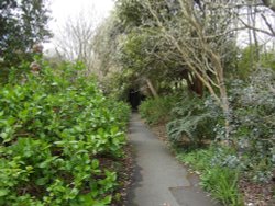 Ventnor Botanical Garden Wallpaper