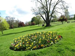 Rushden Hall Park Wallpaper