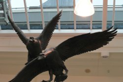 The Swans - they are a flying Wallpaper