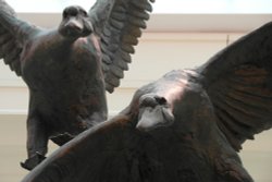 Eye to eye Wallpaper