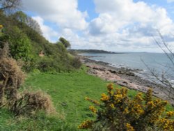 The Shoreline Wallpaper