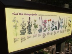 At How Hill Nature Reserve Wallpaper