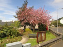 Public Garden Wallpaper