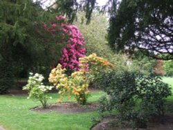 Croxtheth Hall Gardens Wallpaper