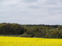 Nottinghamshire Countryside