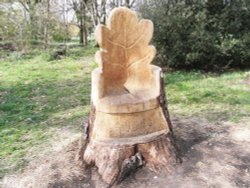 Tree Seat at Thornham Wallpaper