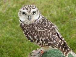 Weston-super-Mare Wallpaper