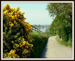 A view of the lake Wallpaper