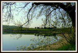 At the lake Wallpaper