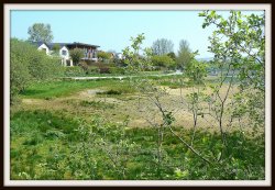 By the lake Wallpaper