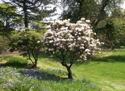 Auckland Castle, Bishop Auckland, Durham 24 May 2012 Wallpaper