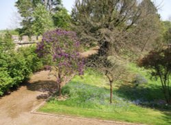 Auckland Castle, Bishop Auckland, Durham 24 May 2012 Wallpaper