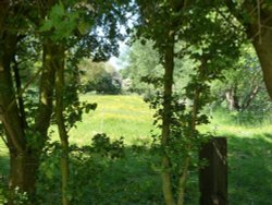 Minster - In-Thanet Abbey grounds