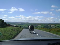 Widecomb in the Moor and Dartmoor traffic