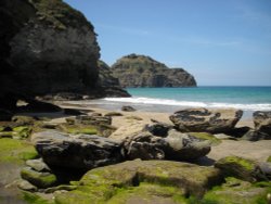 Bossiney Cove, Trethevey, Cornwall Wallpaper