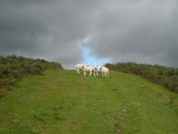 Aberbran, Powys Wallpaper