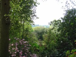 Spinners Garden in Boldre (The New Forest) Wallpaper