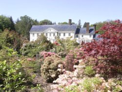 Stody Lodge Gardens Wallpaper