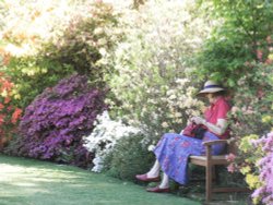 Stody Lodge Gardens Wallpaper