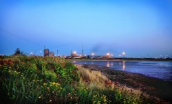 Nature of the Beast - Redcar Wallpaper