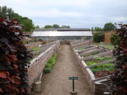 Barrington Court June 2009 Wallpaper