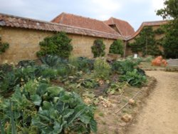 Barrington Court June 2009 Wallpaper
