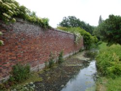 Barrington Court June 2009 Wallpaper