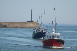 Heading home to Amble Wallpaper