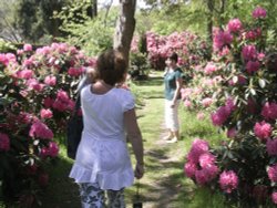 Stody lodge Wallpaper