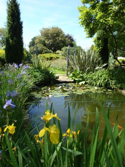 Barnsley House June 2008