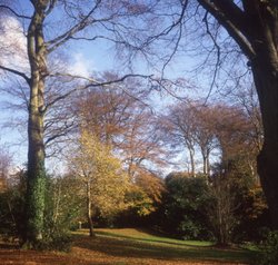 Autumn colours at the County Museum Grounds, Abergwili Wallpaper
