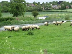Great Doddington