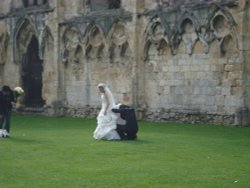 Museum Gardens unusual scene Wallpaper